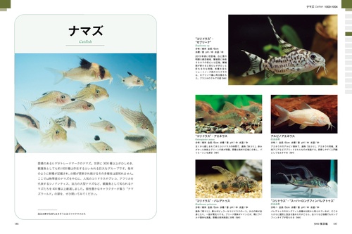 最新 アクアリウム超飼育図鑑 3000種 – 丸善ジュンク堂書店ネットストア