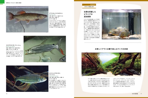 最新 アクアリウム超飼育図鑑 3000種 – 丸善ジュンク堂書店ネットストア
