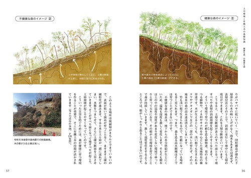 土中環境 有機土木の考え 地球と共に生きるということ・共に創り上げる 未来が変わる！ 土中環境と有機土木 – 丸善ジュンク堂書店ネットストア