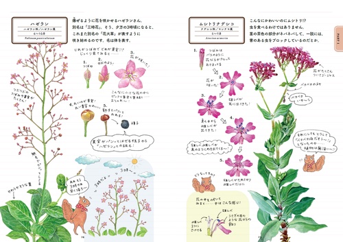 ココロはなやぐ 草花ノート – 丸善ジュンク堂書店ネットストア