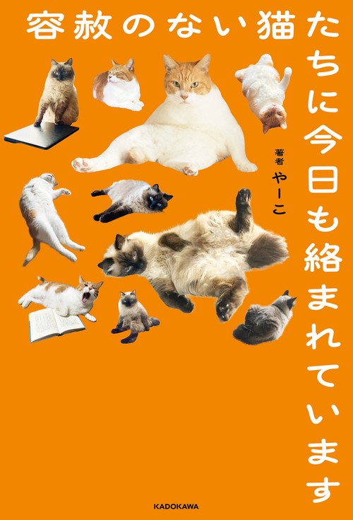 容赦のない猫たちに今日も絡まれています – 丸善ジュンク堂書店ネット