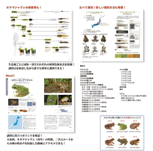 カエルとオタマジャクシハンドブック – 丸善ジュンク堂書店ネットストア