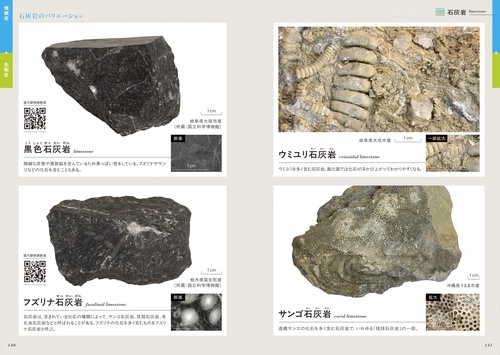 観察を楽しむ特徴がわかる岩石図鑑 増補改訂版 – 丸善ジュンク堂書店
