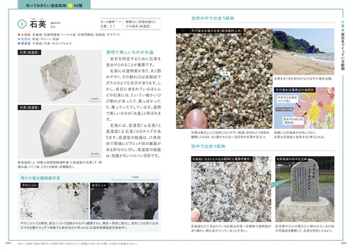 観察を楽しむ特徴がわかる岩石図鑑 増補改訂版 – 丸善ジュンク堂書店