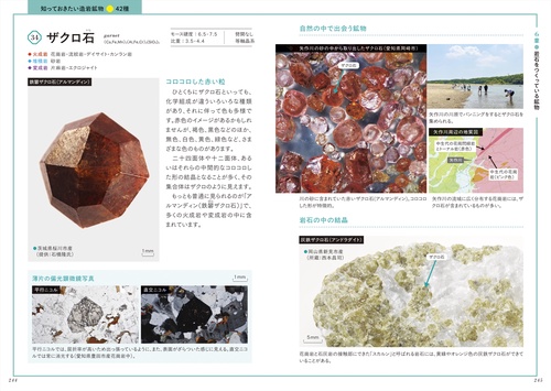 観察を楽しむ特徴がわかる岩石図鑑 増補改訂版 – 丸善ジュンク堂書店