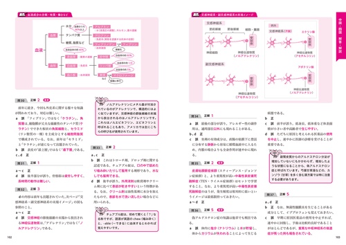 過去問 これで完成！ 登録販売者 全国過去問題集 2026年度版 – 丸善ジュンク堂