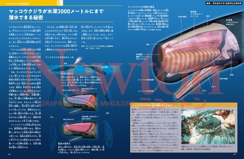 Newton別冊 鯨と人類 – 丸善ジュンク堂書店ネットストア