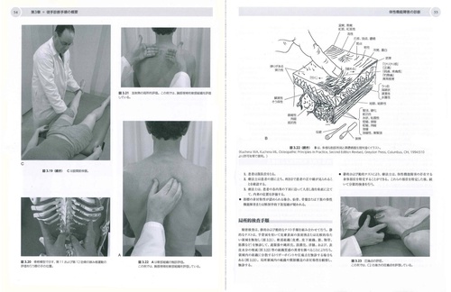 エビデンスに基づいた徒手療法 普及版 – 丸善ジュンク堂書店ネットストア