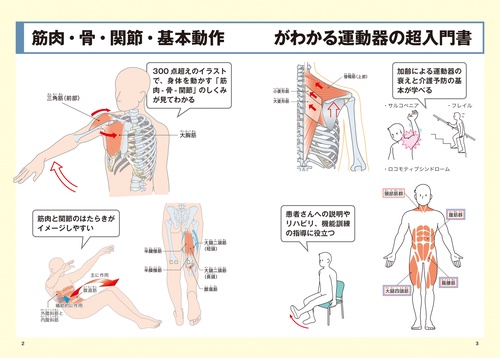 いちばん使える 筋肉と関節 しくみが見える図鑑 – 丸善ジュンク堂書店