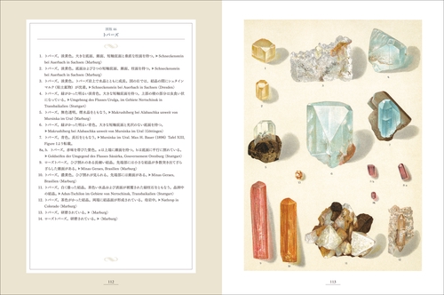 鉱物の王国 Das Mineralreich – 丸善ジュンク堂書店ネットストア