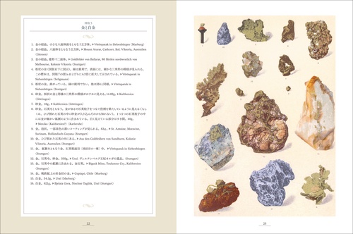 鉱物の王国 Das Mineralreich – 丸善ジュンク堂書店ネットストア