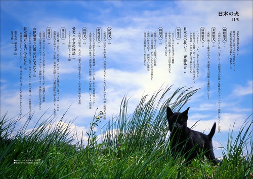 日本の犬 – 丸善ジュンク堂書店ネットストア