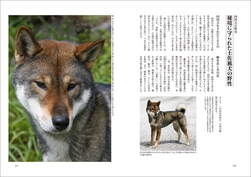 日本の犬 – 丸善ジュンク堂書店ネットストア