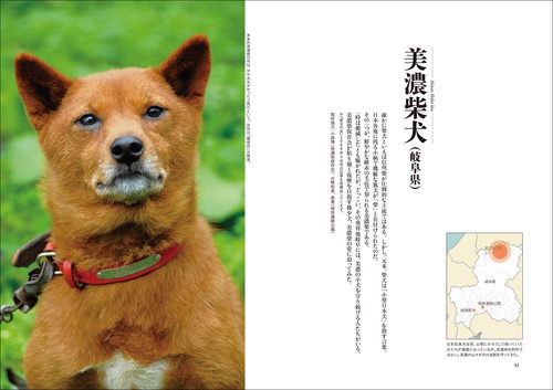 日本の犬 – 丸善ジュンク堂書店ネットストア