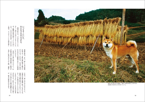 日本の犬 – 丸善ジュンク堂書店ネットストア