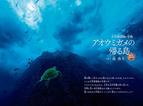 小笠原諸島・父島 アオウミガメの帰る島 – 丸善ジュンク堂書店ネットストア