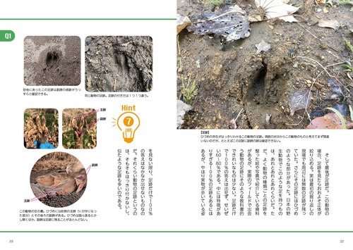 野生動物の痕跡図鑑 ツキノワグマからアライグマまで見分けて役立つ