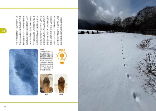野生動物の痕跡図鑑 ツキノワグマからアライグマまで見分けて役立つ