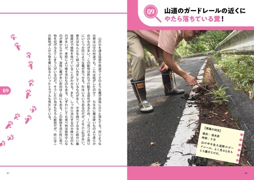 野生動物の痕跡図鑑 ツキノワグマからアライグマまで見分けて役立つ