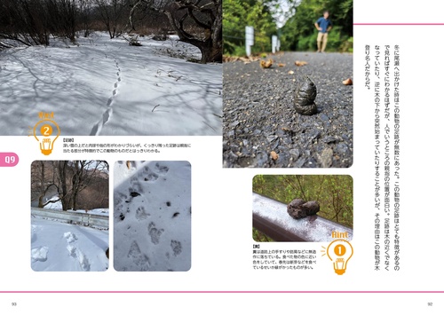 野生動物の痕跡図鑑 ツキノワグマからアライグマまで見分けて役立つ