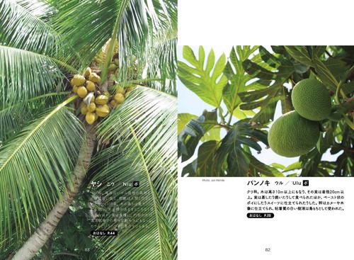 植物でめぐるハワイの神話 – 丸善ジュンク堂書店ネットストア