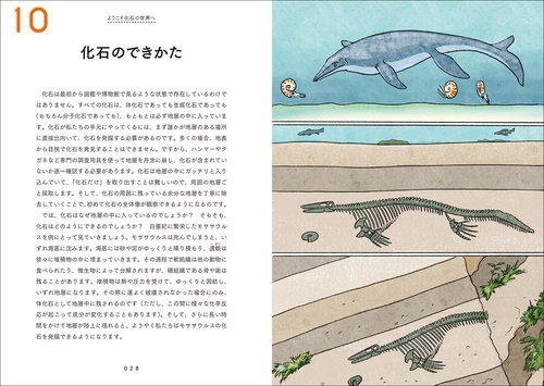 化石のきほん – 丸善ジュンク堂書店ネットストア