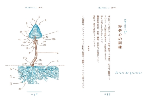 ふだんづかいの人類学 気づきと観察力を磨く19の練習 – 丸善ジュンク堂
