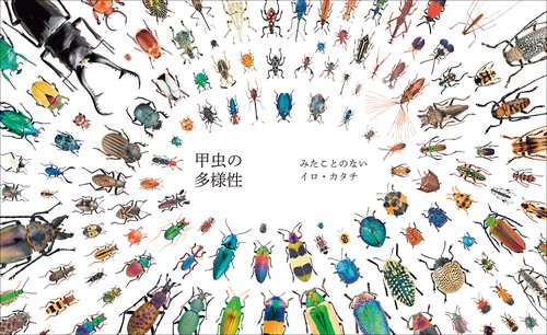 世界で一番美しい甲虫図鑑 – 丸善ジュンク堂書店ネットストア