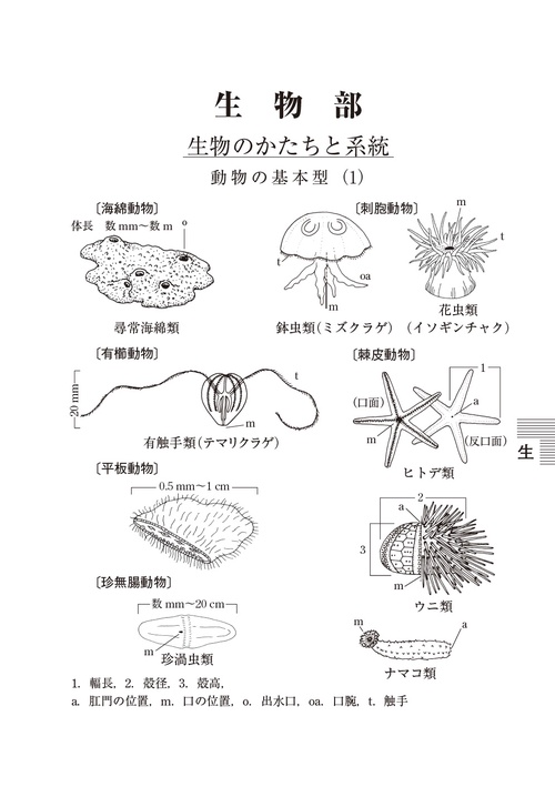 理科年表 2026 – 丸善ジュンク堂書店ネットストア