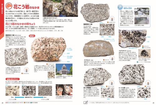 岩石・鉱物・化石 新版 – 丸善ジュンク堂書店ネットストア