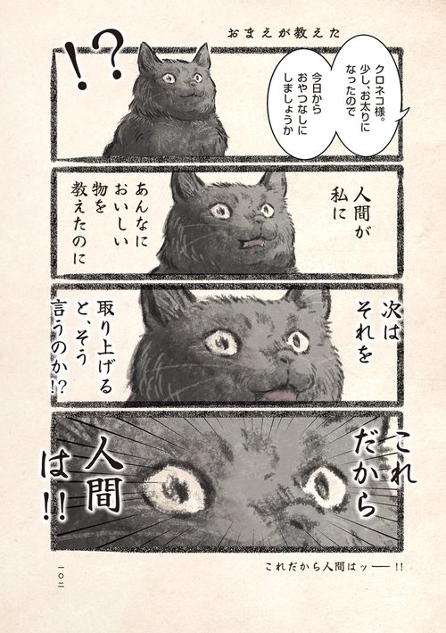 今日もネコ様の圧が強い – 丸善ジュンク堂書店ネットストア