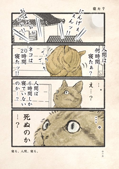 今日もネコ様の圧が強い – 丸善ジュンク堂書店ネットストア