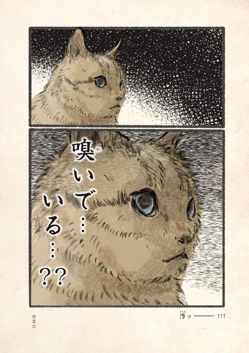 今日もネコ様の圧が強い – 丸善ジュンク堂書店ネットストア