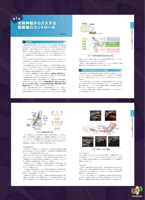 結果の出せる評価と治療 筋緊張から紐解く機能障害 – 丸善ジュンク堂