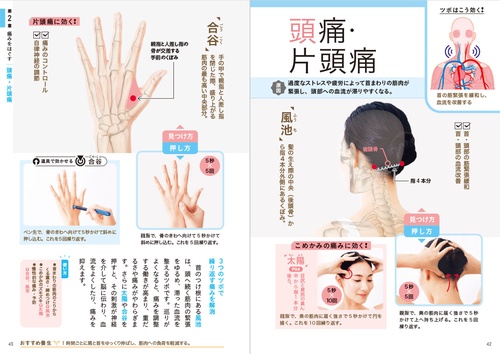 鍼灸学×最新研究 痛みとコリにしっかり効く！ツボの教科書 – 丸善