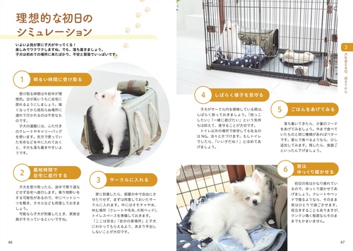 飼い方・しつけが基礎からわかる 犬と幸せに暮らす本 – 丸善ジュンク堂