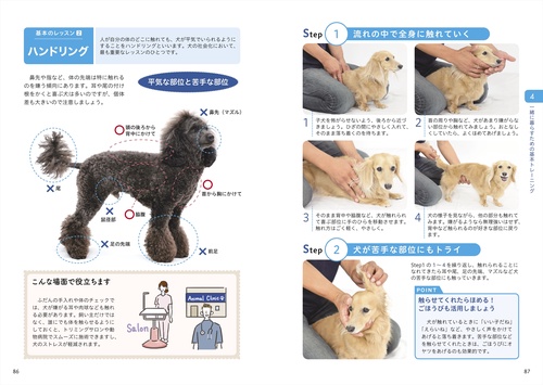 飼い方・しつけが基礎からわかる 犬と幸せに暮らす本 – 丸善ジュンク堂