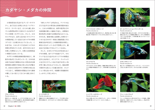 熱帯魚完全飼育 – 丸善ジュンク堂書店ネットストア