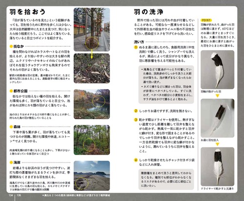 新 羽ハンドブック – 丸善ジュンク堂書店ネットストア