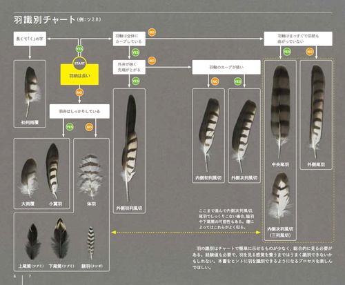 新 羽ハンドブック – 丸善ジュンク堂書店ネットストア