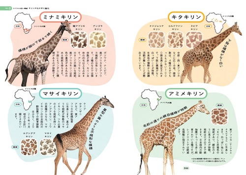 世界で一番楽しい キリンの生態学 – 丸善ジュンク堂書店ネットストア