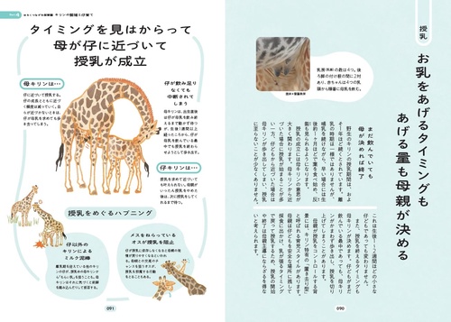世界で一番楽しい キリンの生態学 – 丸善ジュンク堂書店ネットストア