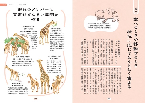 世界で一番楽しい キリンの生態学 – 丸善ジュンク堂書店ネットストア