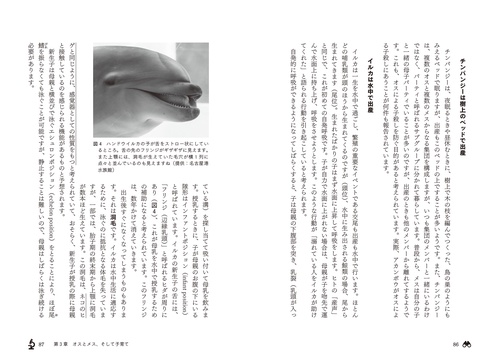 野生動物学入門 – 丸善ジュンク堂書店ネットストア