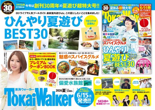東海ウォーカー2026夏 カドカワプラス (2026年06月号) [雑誌] (2026年