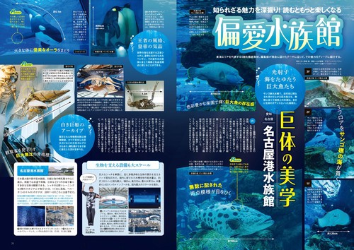 東海ウォーカー2026夏 カドカワプラス (2026年06月号) [雑誌] (2026年