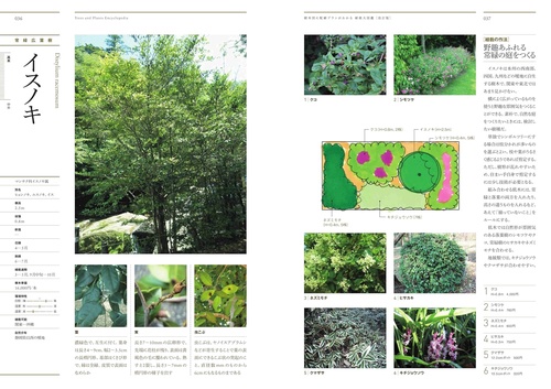 樹木別に配植プランがわかる 植栽大図鑑［樹木単価改訂版］ – 丸善
