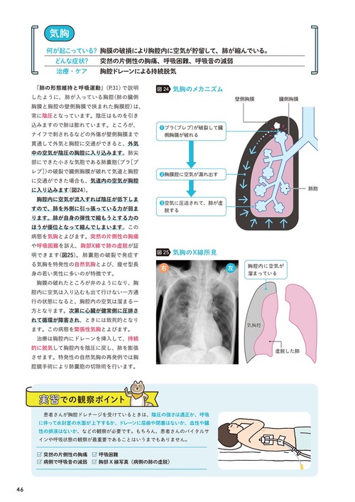 疾患のしくみがわかる解剖生理 – 丸善ジュンク堂書店ネットストア