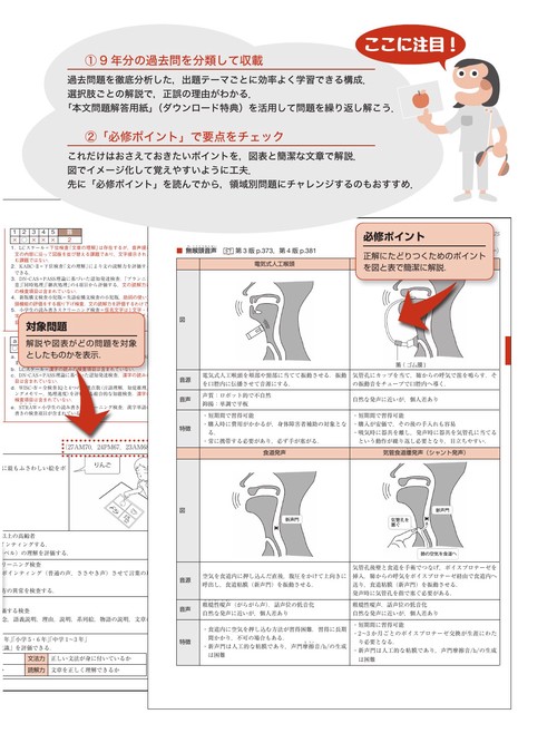 言語聴覚士国家試験必修ポイント ST専門科目 2027 オンラインテスト付