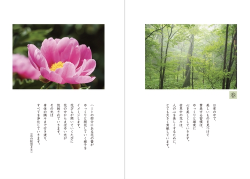 光の魂たち 植物編 人の霊性進化を見守る植物たち – 丸善ジュンク堂